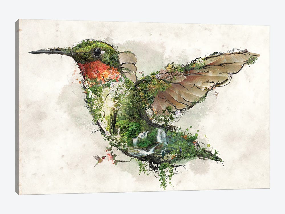Ruby Throated Hummingbird by Barrett Biggers 1-piece Canvas Art