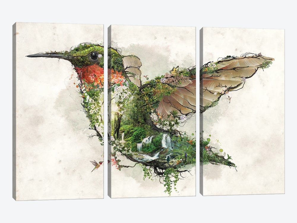 Ruby Throated Hummingbird by Barrett Biggers 3-piece Canvas Art