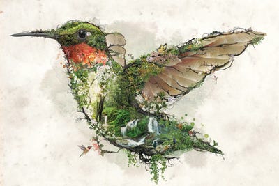 Hummingbird Color Canvas Textured Print Reproduction