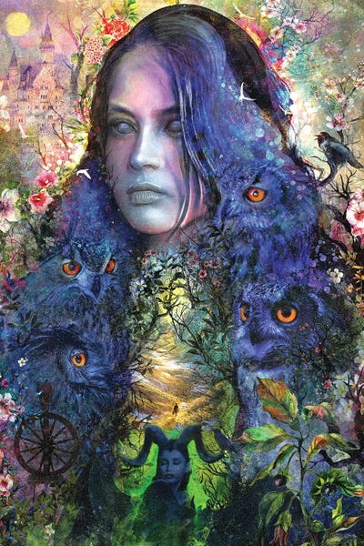 Sleeping Beauty by Barrett Biggers canvas print