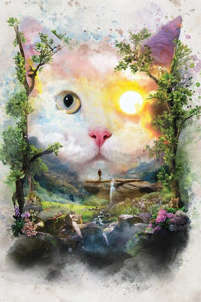 Day Cat by Barrett Biggers framed wall art