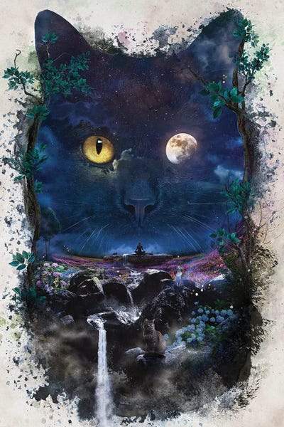 Night Cat by Barrett Biggers canvas print