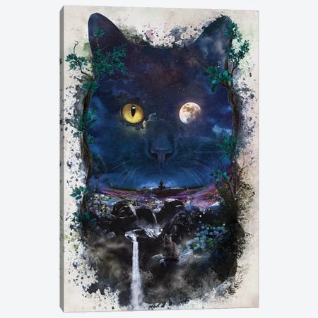 Night Cat Canvas Print #BBI128} by Barrett Biggers Canvas Print
