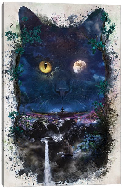 Night Cat Canvas Art Print - Barrett Biggers