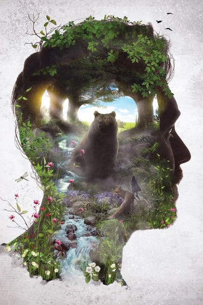 Barrett Biggers: The Bear King by Barrett Biggers
