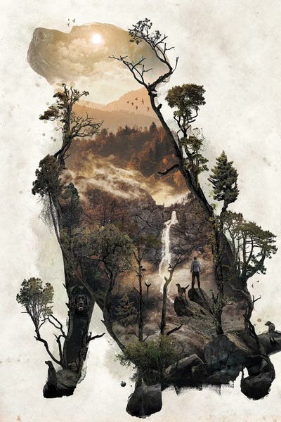 Labrador Retrievers: Labrador Retriever by Barrett Biggers