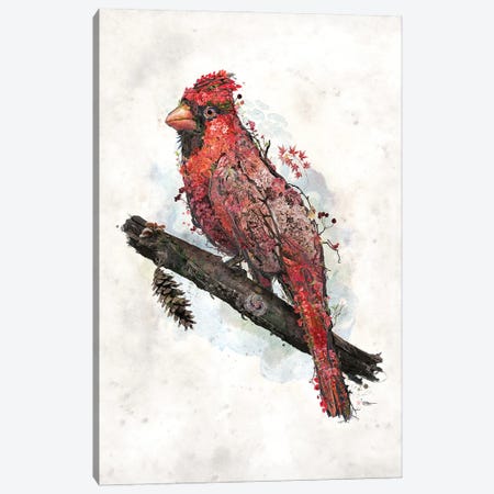 Northern Cardinal Canvas Print #BBI132} by Barrett Biggers Canvas Artwork