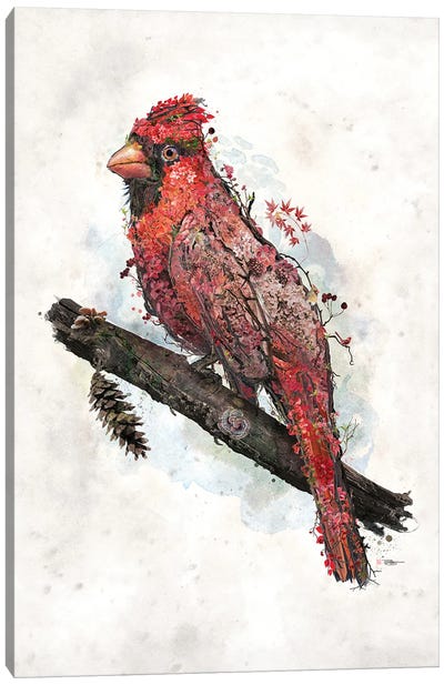 Northern Cardinal Canvas Art Print - Embellished Animals