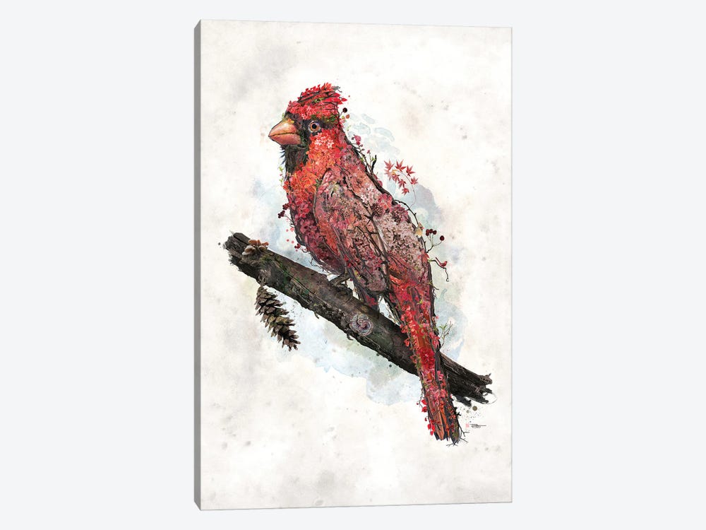 Northern Cardinal by Barrett Biggers 1-piece Canvas Art