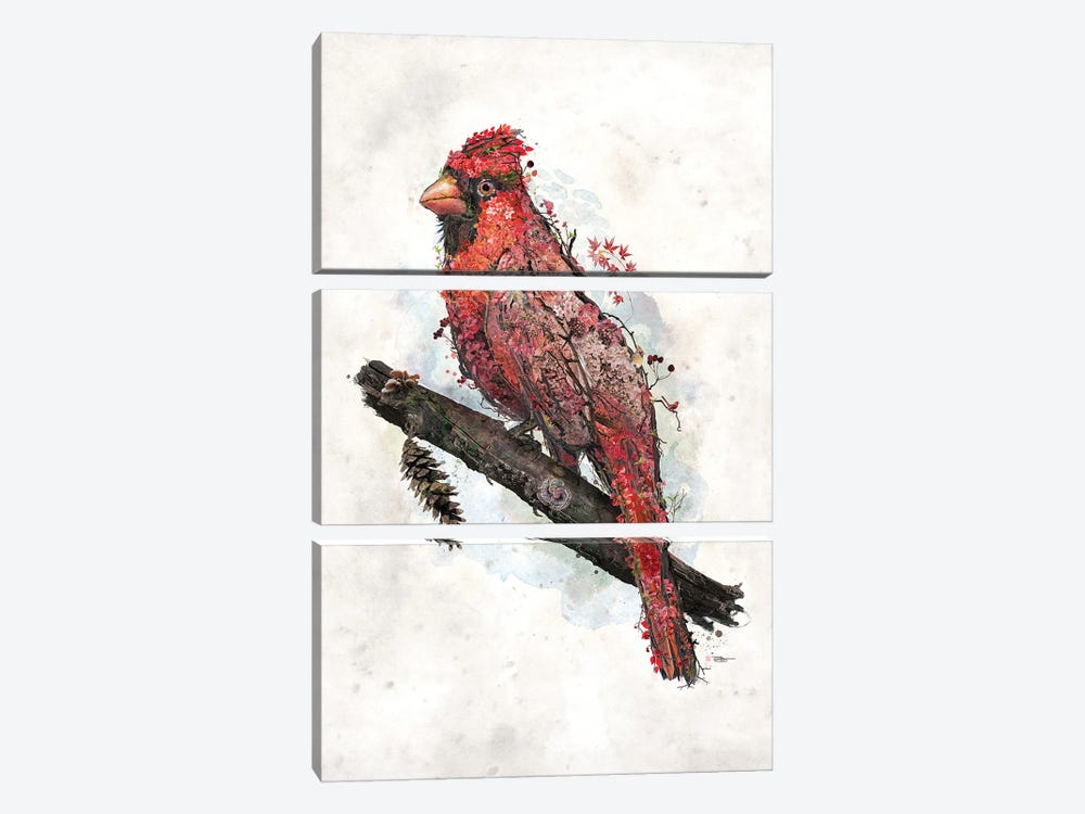 Northern Cardinal by Barrett Biggers 3-piece Canvas Wall Art