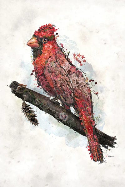 Embellished Animals: Northern Cardinal by Barrett Biggers