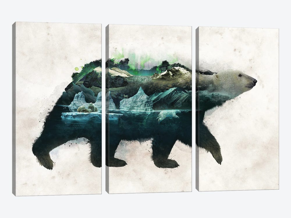 Polar Bear by Barrett Biggers 3-piece Canvas Art Print
