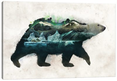 Polar Bear Canvas Art Print - Barrett Biggers