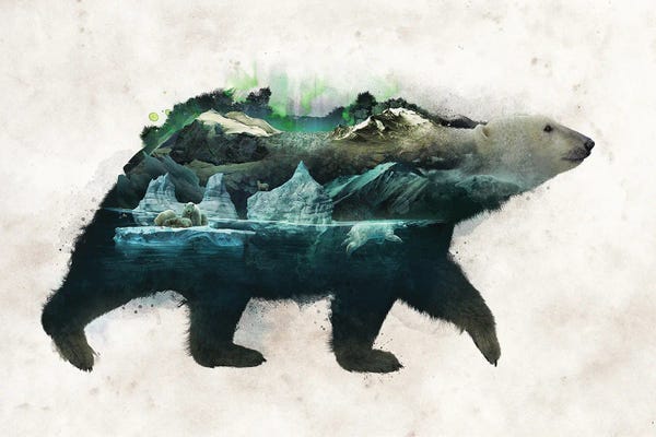 Polar Bears: Polar Bear by Barrett Biggers