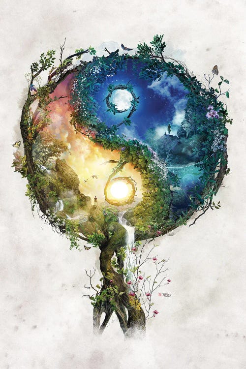 Yin Yang Tao Te Ching by Barrett Biggers wall art