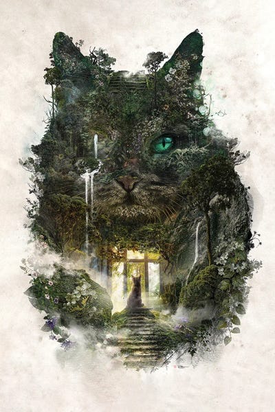 Cat Dreams Of Leaving by Barrett Biggers framed wall art