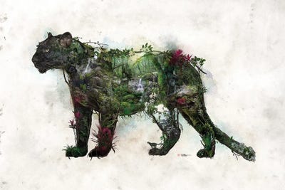 Black Panther by Barrett Biggers canvas print