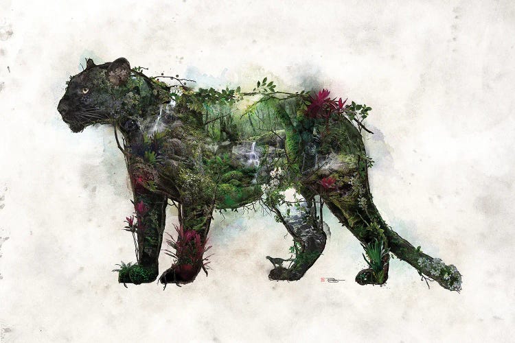 Black Panther by Barrett Biggers wall art