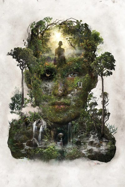 Forest Of Space Time