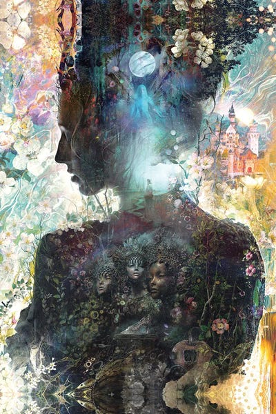 Cinderella by Barrett Biggers framed wall art