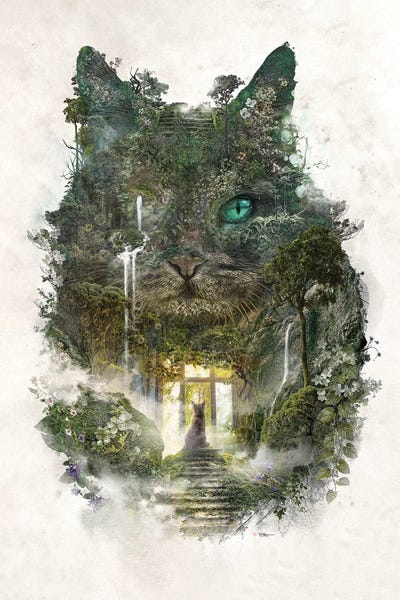 Cat Dreams by Barrett Biggers framed wall art