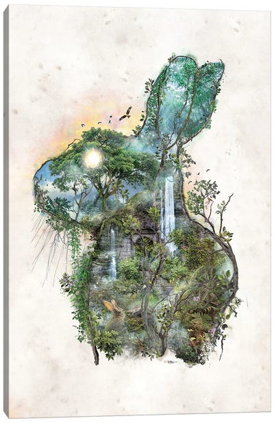 Wild Hare Rabbit Canvas Art Print - Barrett Biggers