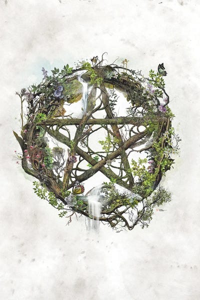 Wiccan Pentacle by Barrett Biggers framed wall art