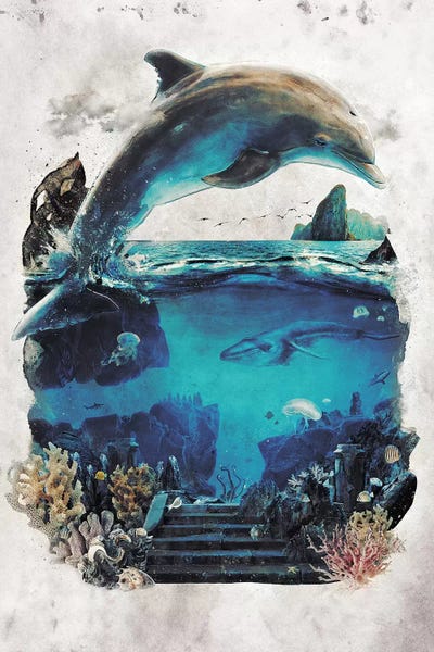 Dolphin Surreal by Barrett Biggers canvas print