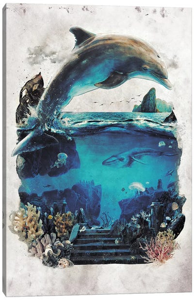 Dolphin Surreal Canvas Art Print - Dolphin Art