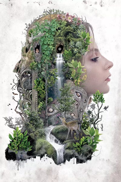 Duality Of Nature by Barrett Biggers canvas print