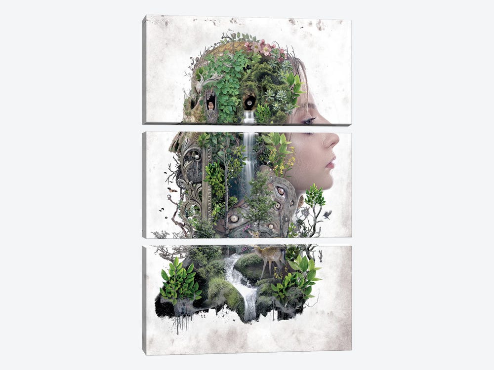 Duality Of Nature by Barrett Biggers 3-piece Canvas Print