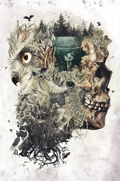 Forest Lake Dreamer by Barrett Biggers canvas print