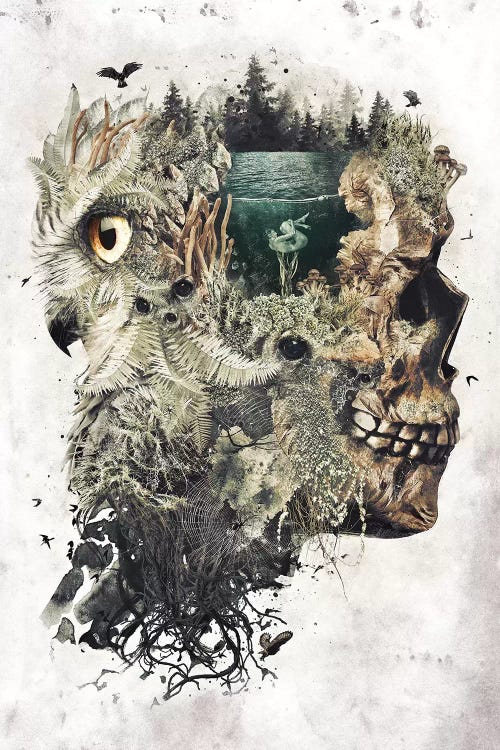 Forest Lake Dreamer by Barrett Biggers wall art