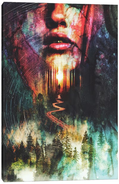 Forest Of Illusions Canvas Art Print - Barrett Biggers