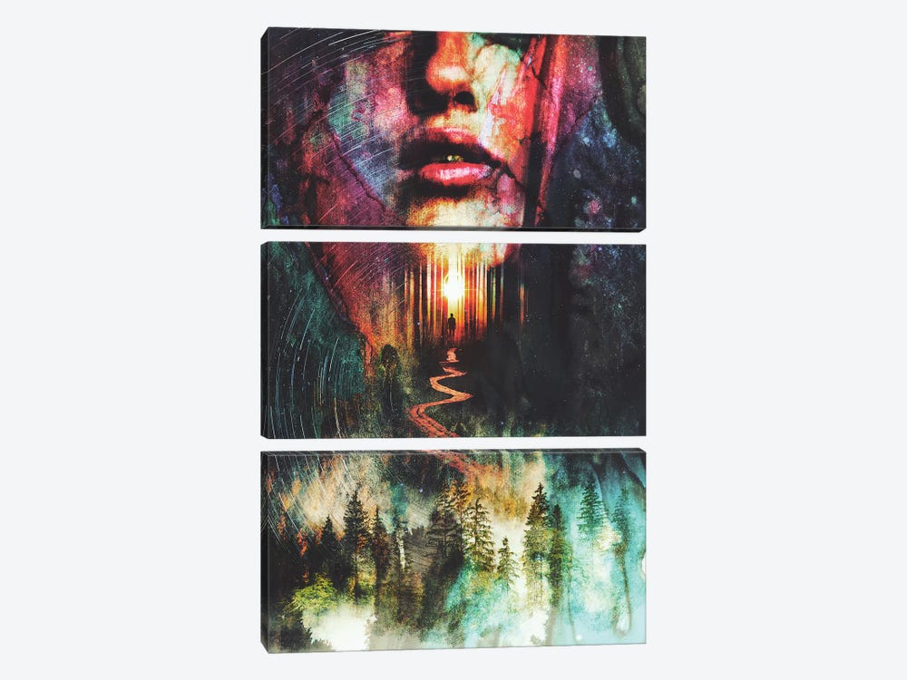 Forest Of Illusions by Barrett Biggers 3-piece Canvas Print