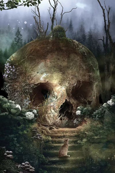 Barrett Biggers: Garden Of Curiosity by Barrett Biggers