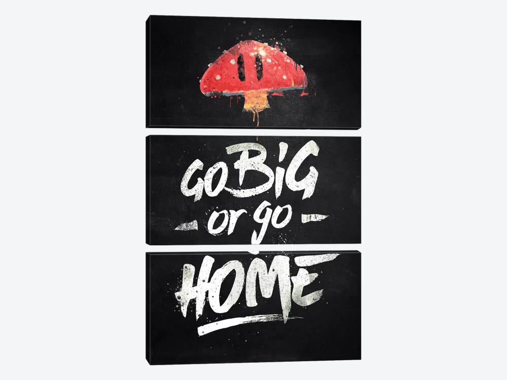 Go Big Or Go Home by Barrett Biggers 3-piece Canvas Artwork
