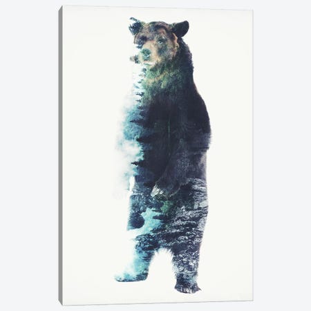 Misty Bear Canvas Print #BBI66} by Barrett Biggers Canvas Art