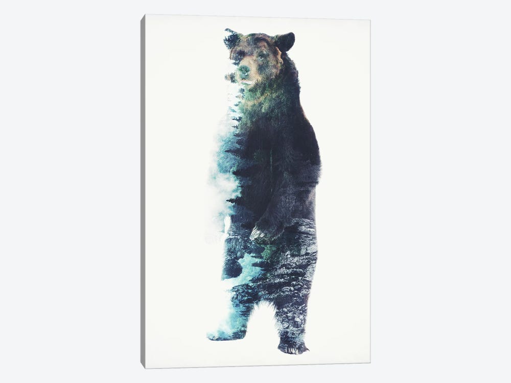 Misty Bear by Barrett Biggers 1-piece Canvas Wall Art