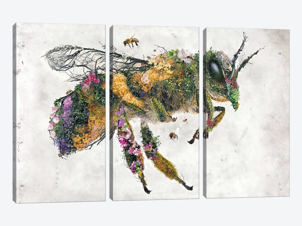 Must Bee The Honey by Barrett Biggers 3-piece Canvas Art