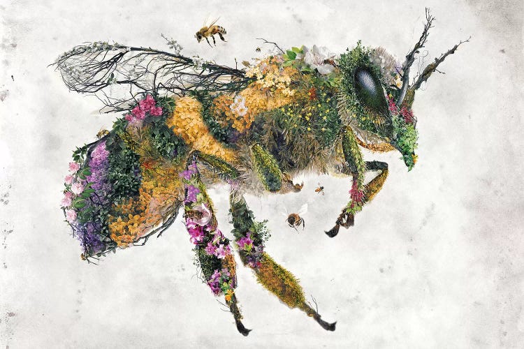 Must Bee The Honey by Barrett Biggers wall art