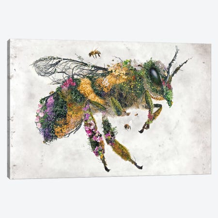 Must Bee The Honey Canvas Print #BBI71} by Barrett Biggers Canvas Wall Art