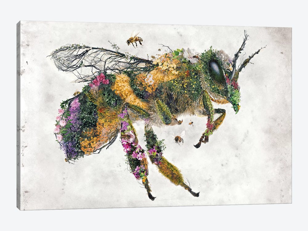 Must Bee The Honey by Barrett Biggers 1-piece Canvas Artwork