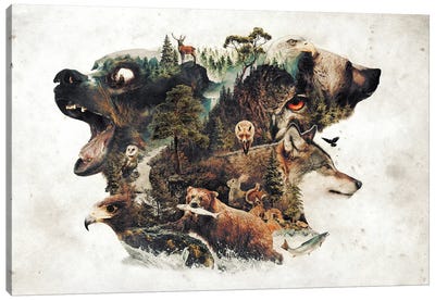Predators And Prey Canvas Art Print - Wolf Art