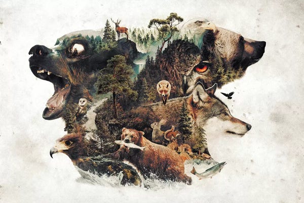 Wolves: Predators And Prey by Barrett Biggers