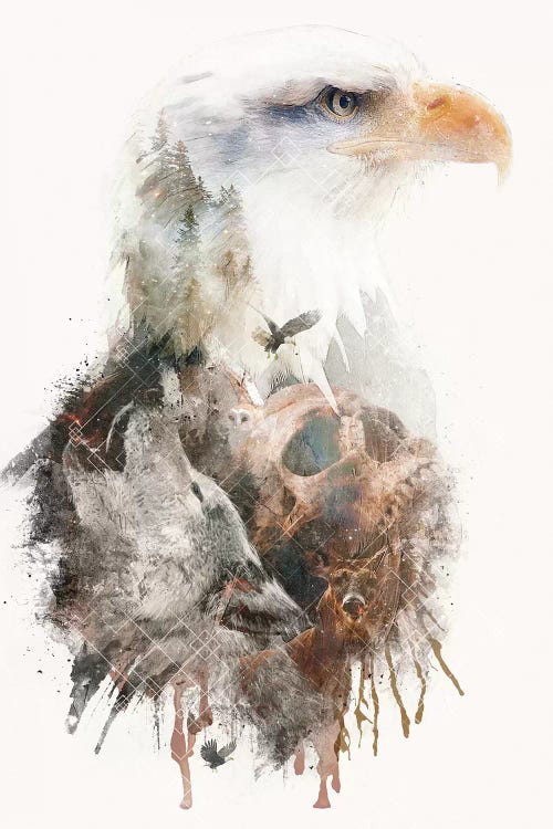Pride Before The Fall by Barrett Biggers wall art
