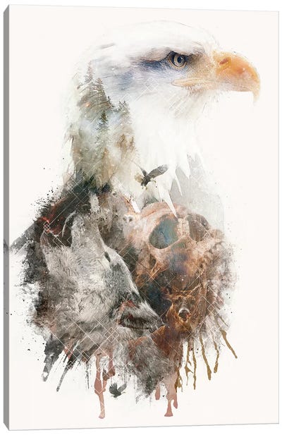 Pride Before The Fall Canvas Art Print - Eagle Art