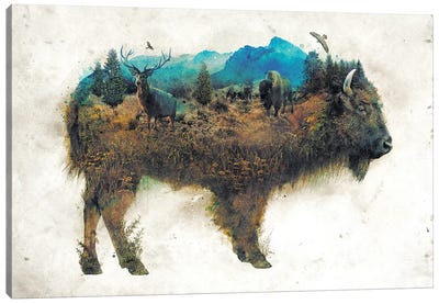 Surreal Bison Canvas Art Print