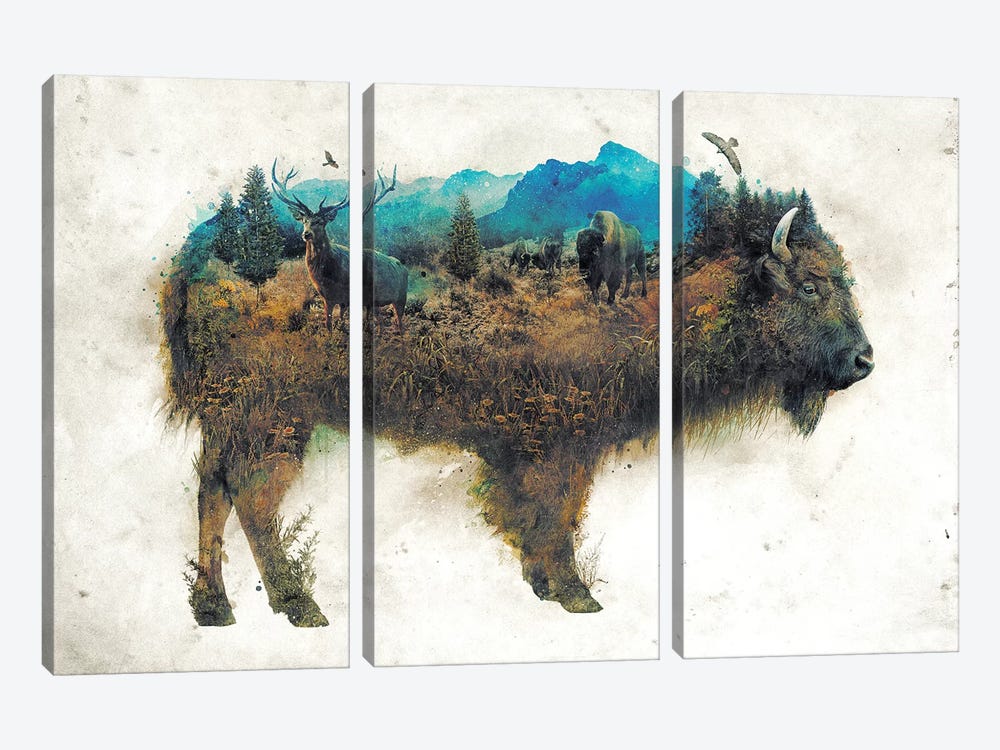 Surreal Bison 3-piece Canvas Art Print