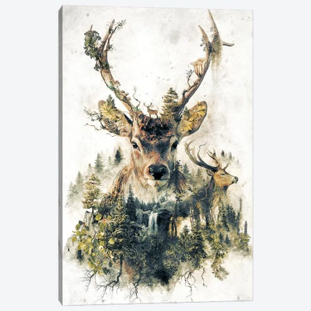 Surreal Deer Canvas Print #BBI91} by Barrett Biggers Canvas Wall Art